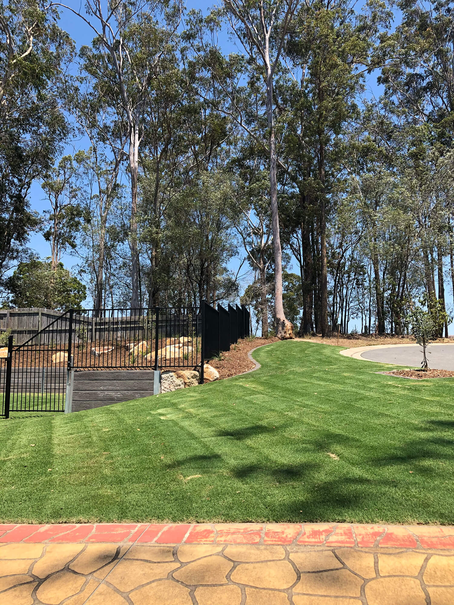 A well-maintained lawn leads up to a black metal gate on the left, surrounded by decorative stone edging. Tall trees with thin trunks and leafy branches stand against a clear blue sky, providing a natural backdrop to the fenced area—an ideal setting for Adella Pools, the premier Pool Builders Brisbane trusts.