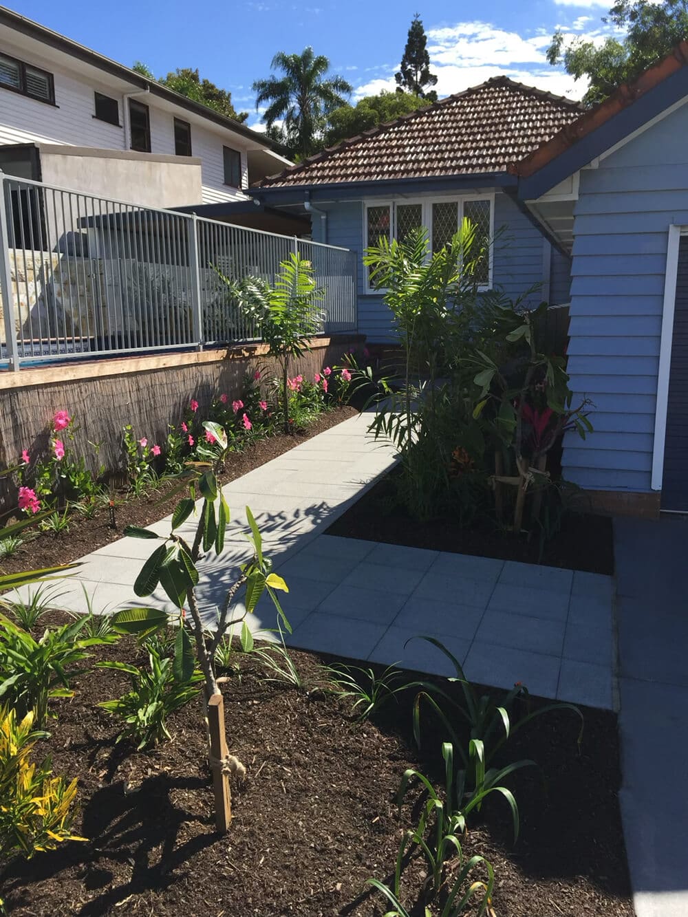 A pathway with rectangular stones runs through a garden filled with various plants and pink flowers, leading to a light blue house with a tiled roof. Adella Pools, renowned Pool Builders in Brisbane, crafted an exquisite pool area next to the white fence that separates the property from a neighboring house.